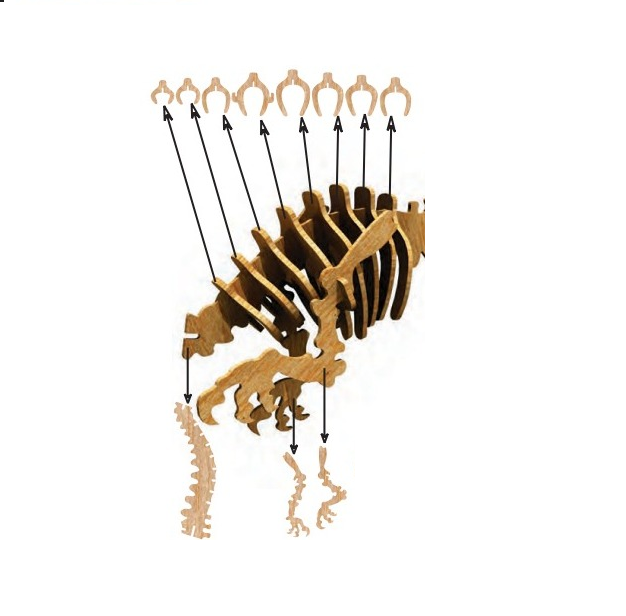 T-Rex Skeleton Bust Wall Mount-advanced-metal-art.myshopify.com