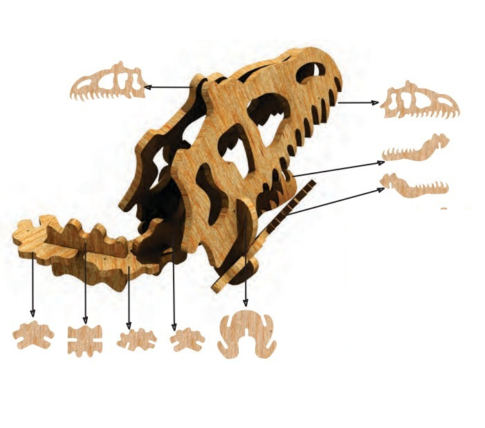 T-Rex Skeleton Bust Wall Mount-advanced-metal-art.myshopify.com