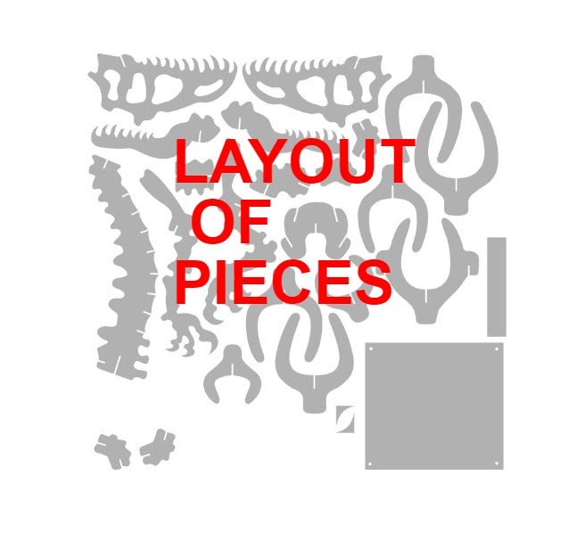 T-Rex Skeleton Bust Wall Mount-advanced-metal-art.myshopify.com